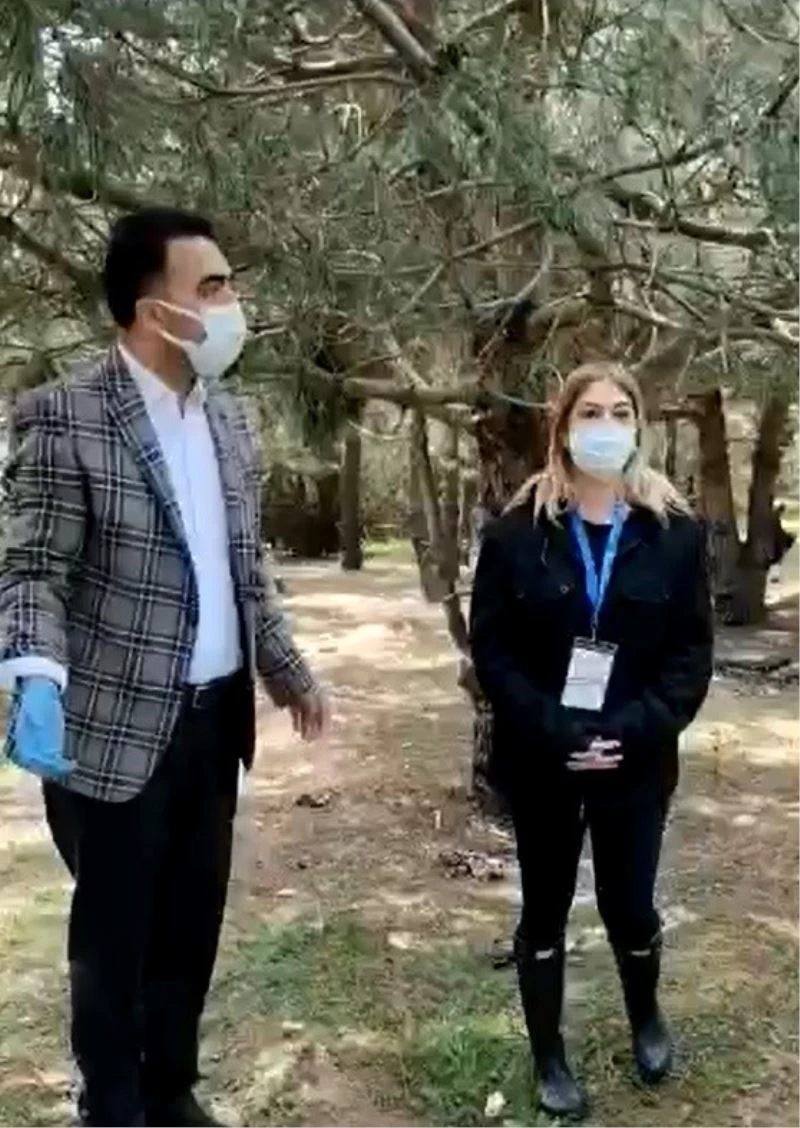 Sarıyer’de hayvanseverlerden belediye ve İBB’ye sokak hayvanı tepkisi
