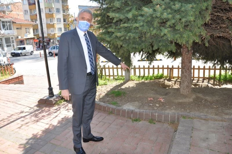 Sokak dostlarına zehirli saldırı
