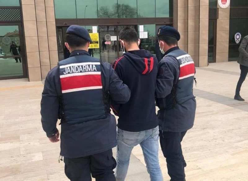 Kabak çekirdeği hırsızı tutuklandı
