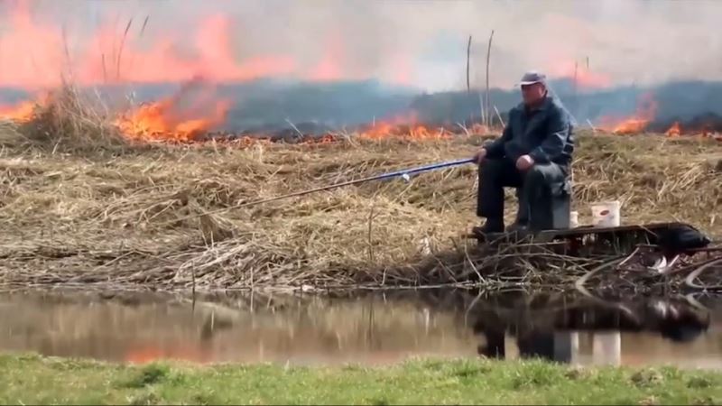 Yangına rağmen balık tutmaya devam etti
