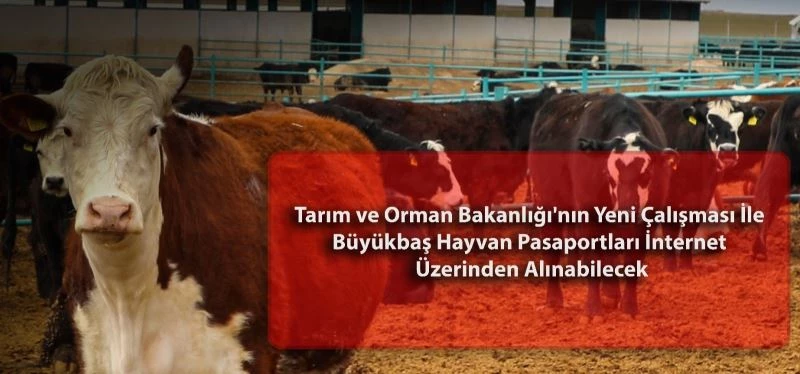 Besicilere dijital ortamda hayvan pasaportu alma fırsatı
