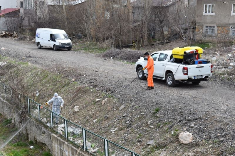 Sivas haşere ve sineklere karşı ilaçlanıyor
