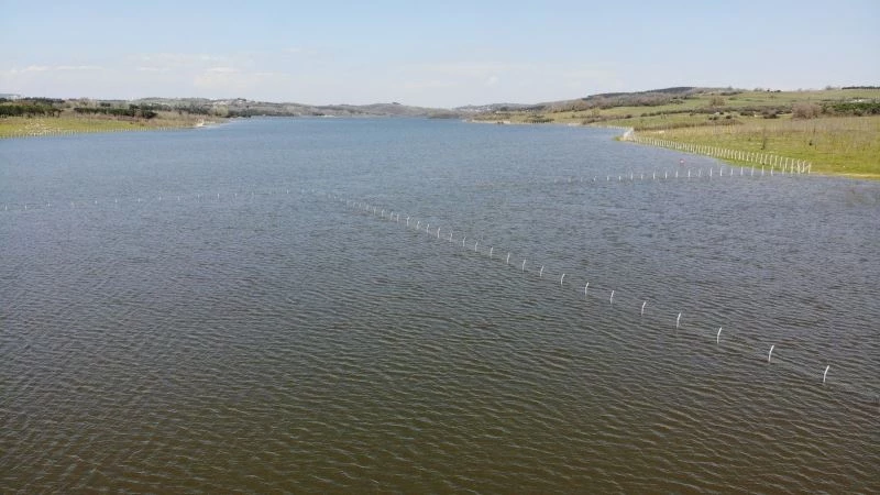 (ÖZEL) Ömerli Barajının içine dikenli tel çekildi, bölgede bulunan canlılar zarar gördü
