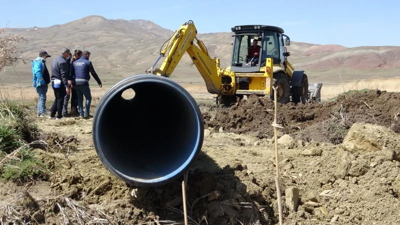 Erçek Gölü’ndeki inci kefalleri ölüm tehlikesinden kurtuldu

