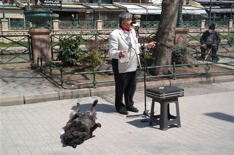 Sokak müzisyenin yanından bir an olsun ayrılmayan köpek
