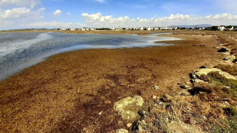 Ayvalık’ta Karakoç Deresi’nin sulak alan statüsü korunacak
