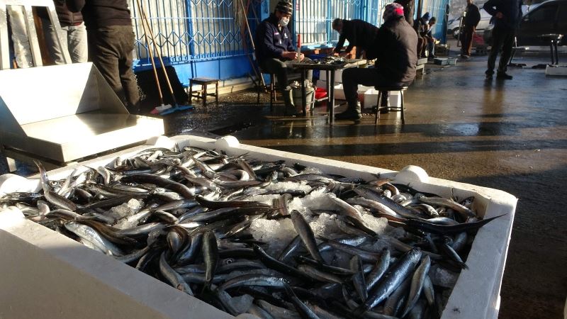 Trabzon’da son 7 yıldaki balık miktarı 40 milyon kilograma yaklaştı
