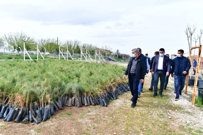 Çınar, Tepeköy fidanlık alanında ki çalışmaları inceledi
