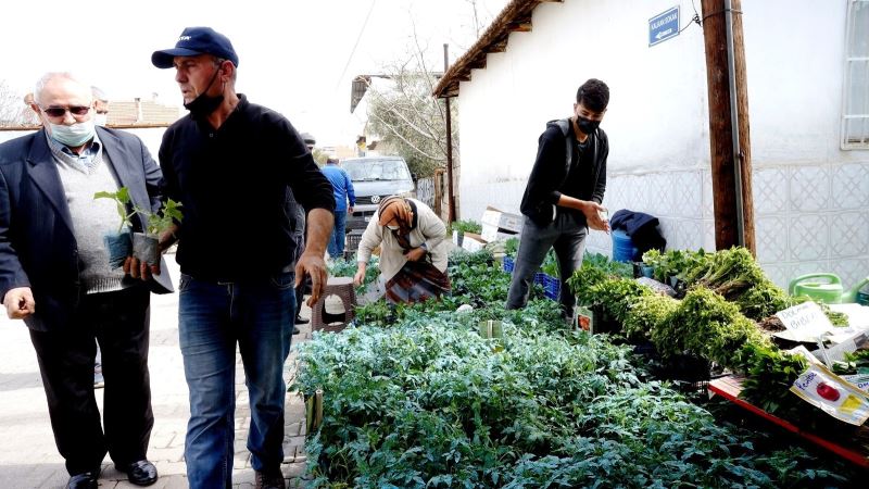 Sarıgöl’de sebze fide satışlarına büyük ilgi
