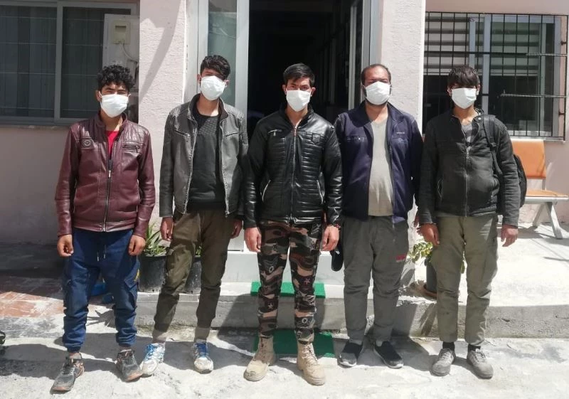 Mültecileri İstanbul diye Osmaniye’de otobüsten indirdiler