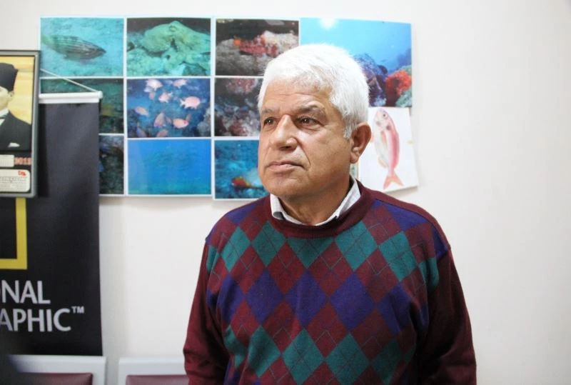 Antalya’da balon balıkları oltalara 4’er 4’er takılıyor
