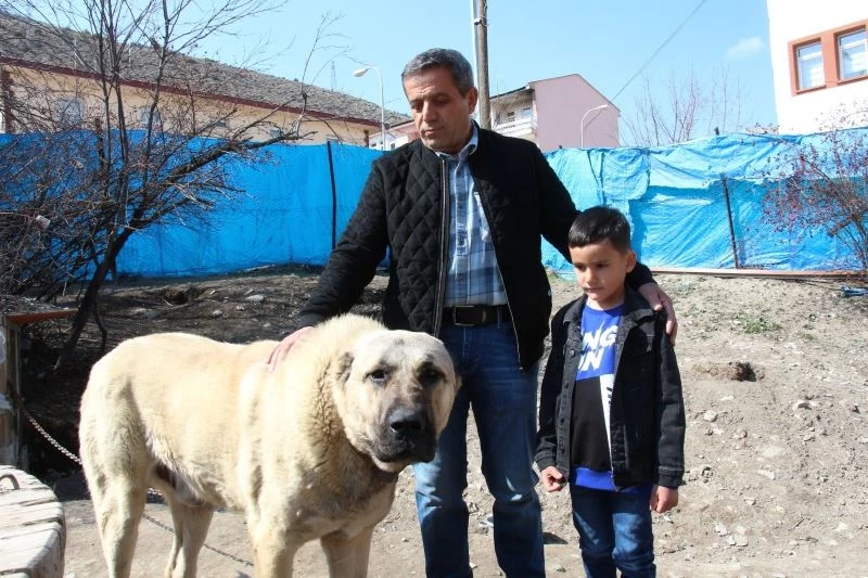 Köpek dile geldi; “Benim adım Ejder”
