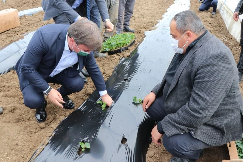 Anadolu’nun Çukurovası’nda fideler toprakla buluştu
