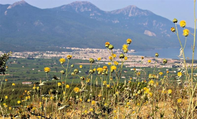 Tülüşah deneme parselinde değerlendirme toplantısı yapıldı
