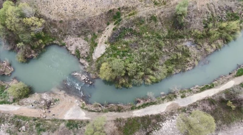 Çevresel faktörler, kefalleri bu hale getirdi
