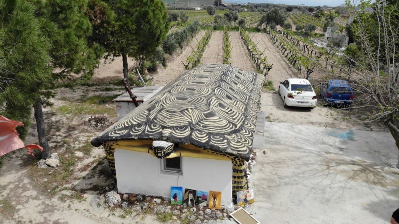 (Özel) Hayvanlara zarar verenlere kızdı, kaplumbağa ev yaptı
