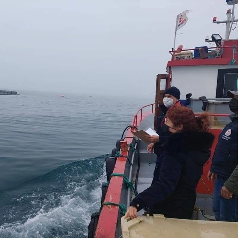 Sinop’un ‘Türk somonu’ temiz çıktı
