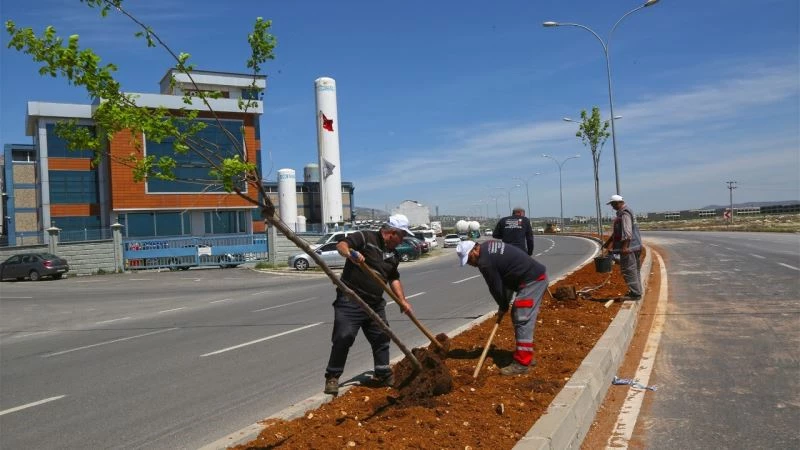 Kahramanmaraş’ta arterlere yeşil koridor
