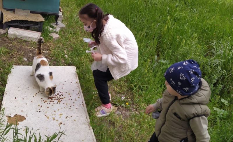 “Sokaktaki Kedileri Sevgiyle Besler Misin Projesi” ilgi gördü
