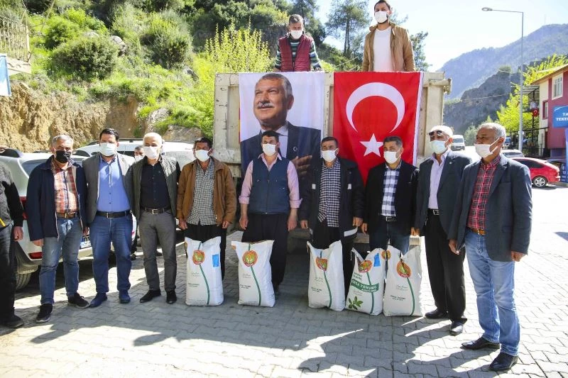 Hayvan üreticilerine yonca tohumu desteği
