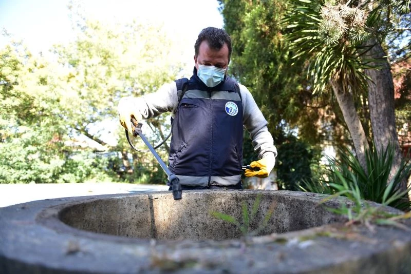 Tuzla’da larva ile mücadele erken başladı
