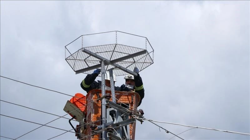 Leylek teleflerine karşı direklere platform çalışmaları sürüyor
