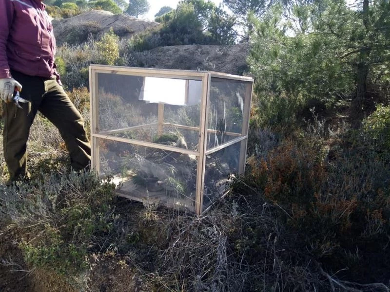 Karabiga’da çam kese böceği ile mücadele başladı
