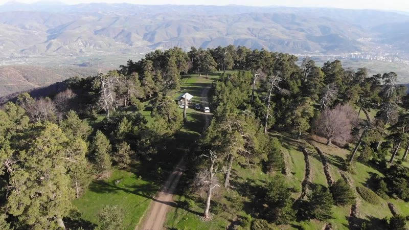 Topçam Yaylası güzelliği ile mest ediyor
