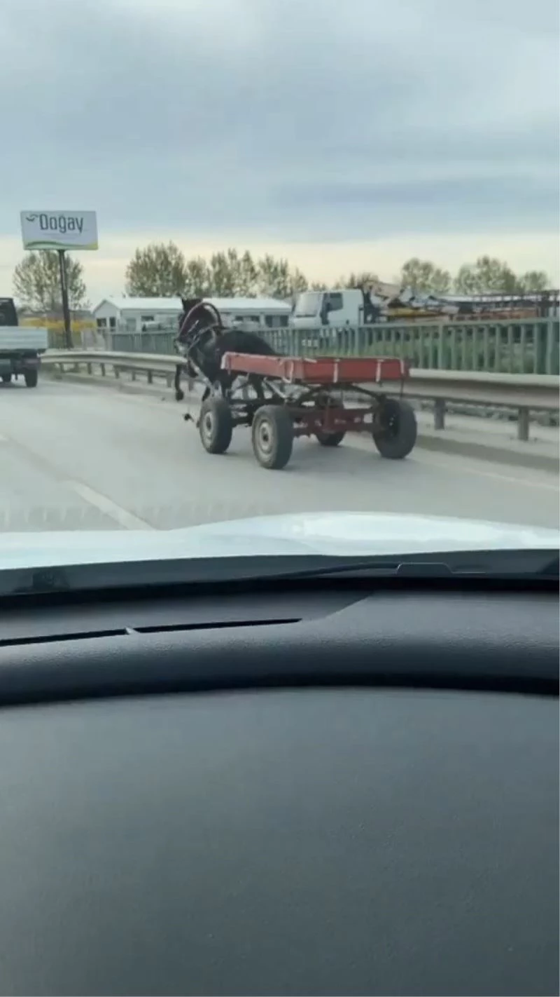 Sürücüsüz at arabası trafiği bir birine kattı
