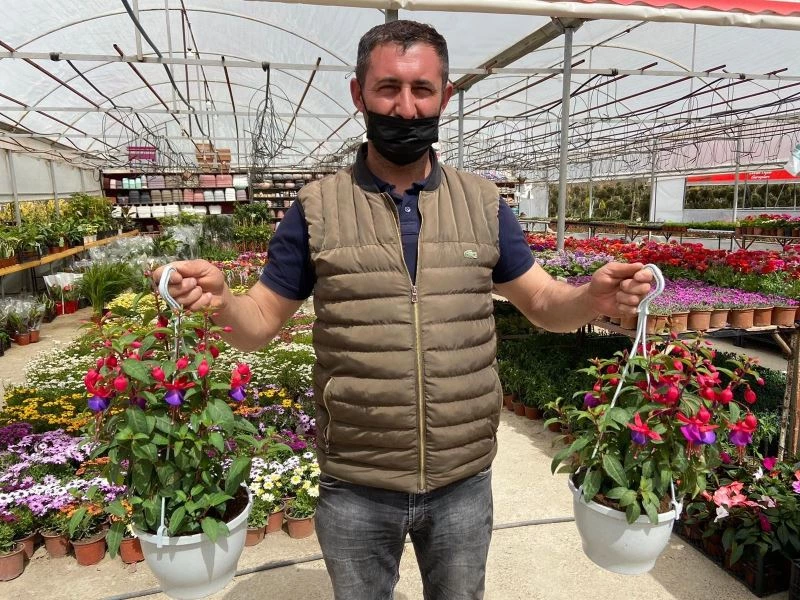 Afyonkarahisar’da çiçekçiler sezona hazır
