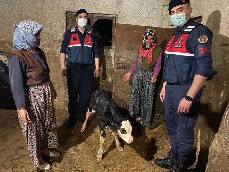 Jandarma ilçeden köye veteriner getirip, doğuma yardım etti

