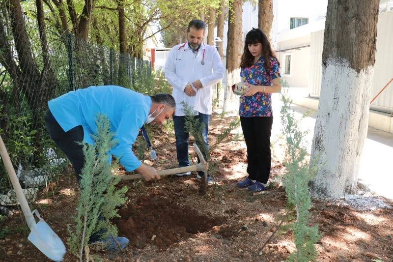 Göbek bağları hastane bahçesine gömüldü
