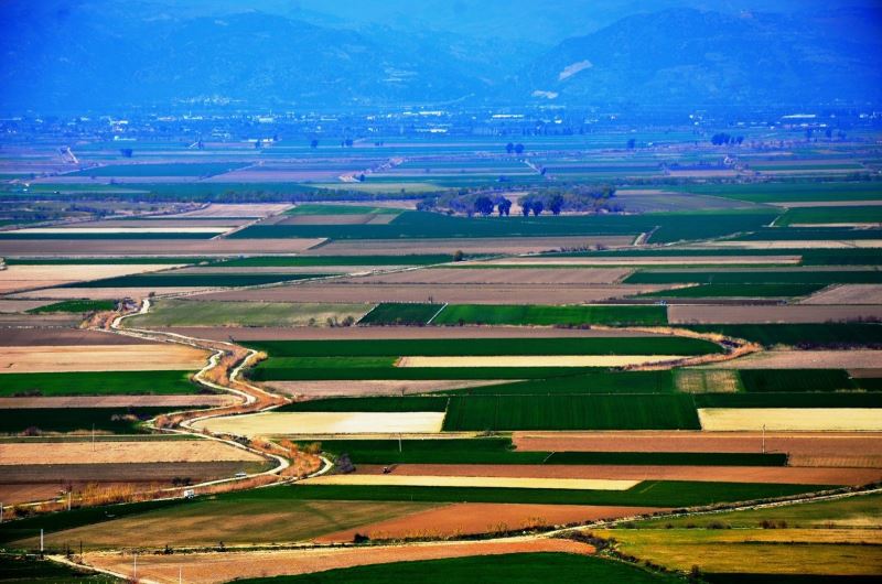 Koçarlı ve Germencik’te zorunlu arazi toplulaştırması yapılacak
