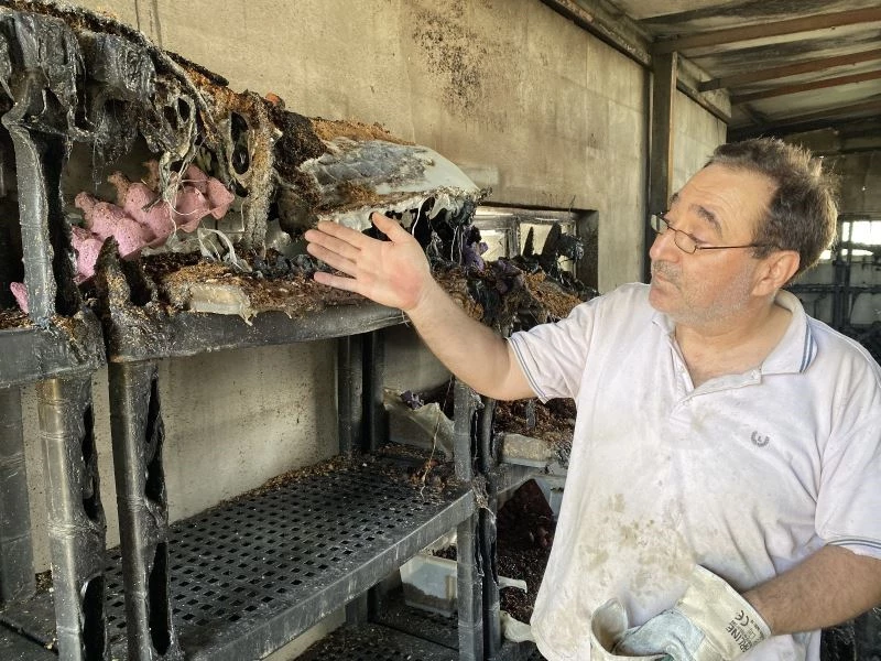 Çekirge üretim merkezinde çıkan yangında anaç böcekler tamamen yandı
