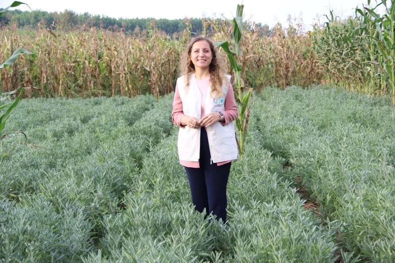 Düzce Üniversitesi bölgeye değer katmaya devam ediyor
