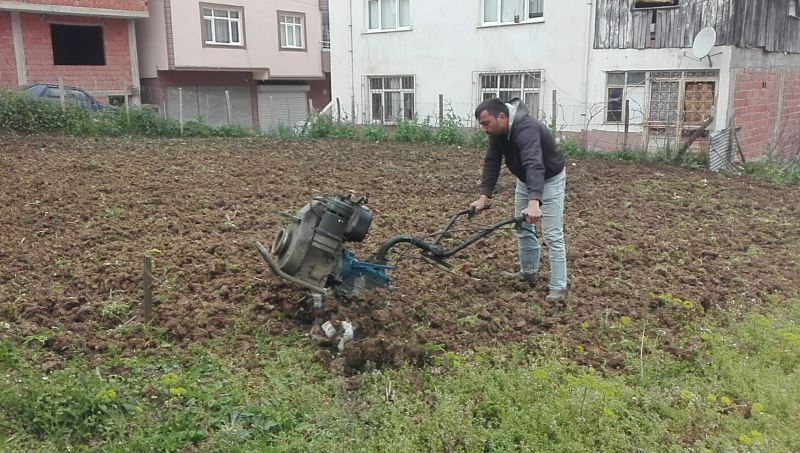 Tarlalarda çapalama işlemi başladı
