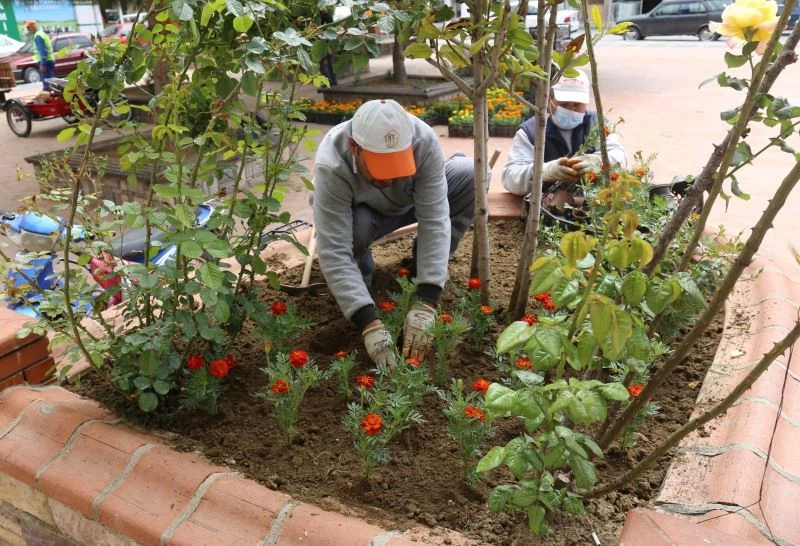 Mevsimlik çiçekler Turgutlu’nun çehresine renk katıyor
