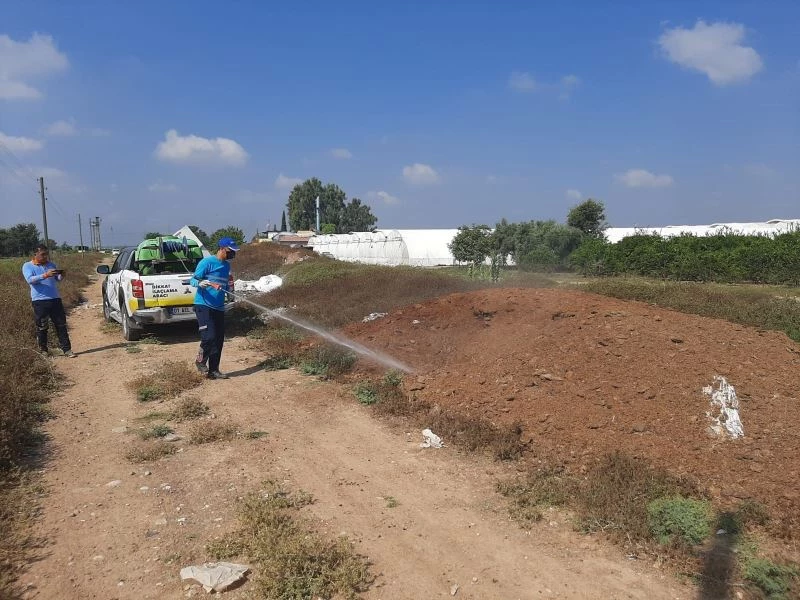 Akdeniz Meyve Sineğiyle mücadele
