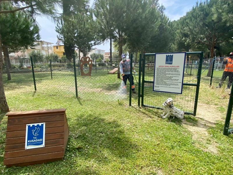 Can dostların yaşam alanlarına vegan temizlik
