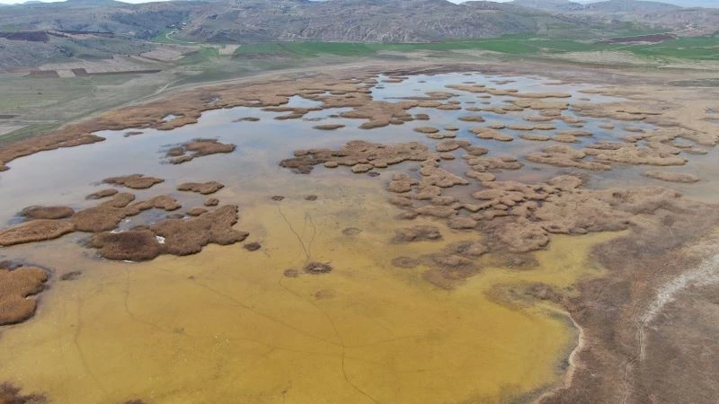 Kuruyan “Kuru göl” su tuttu, giden turnalar geri döndü
