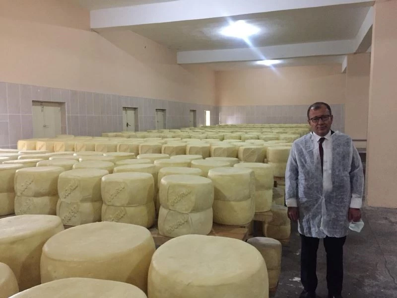 Kars Kaşarı yoğun ilgi görüyor
