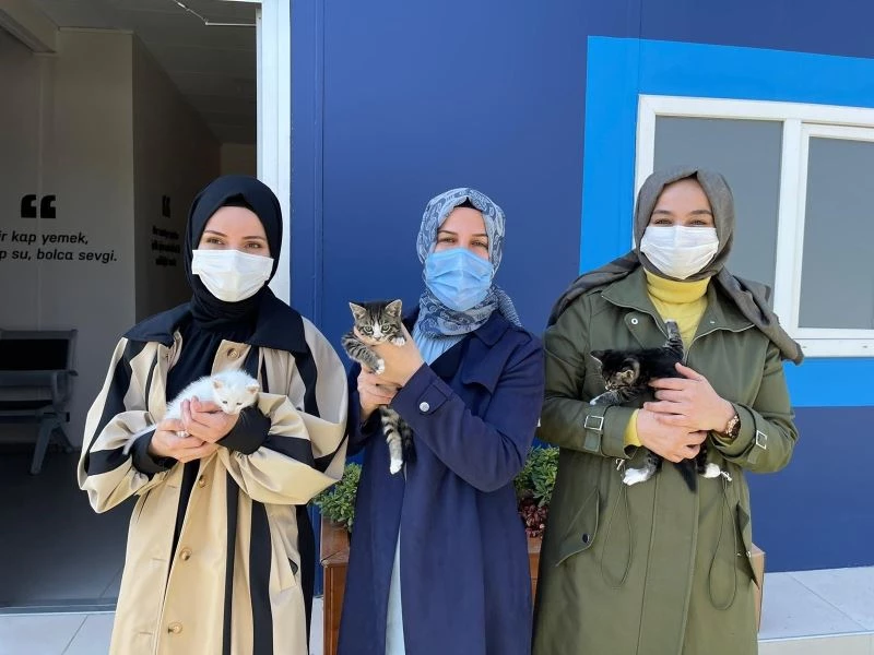 Sultanbeyli Belediyesinden “Sevimli Partilere Yuva Ol” kampanyası
