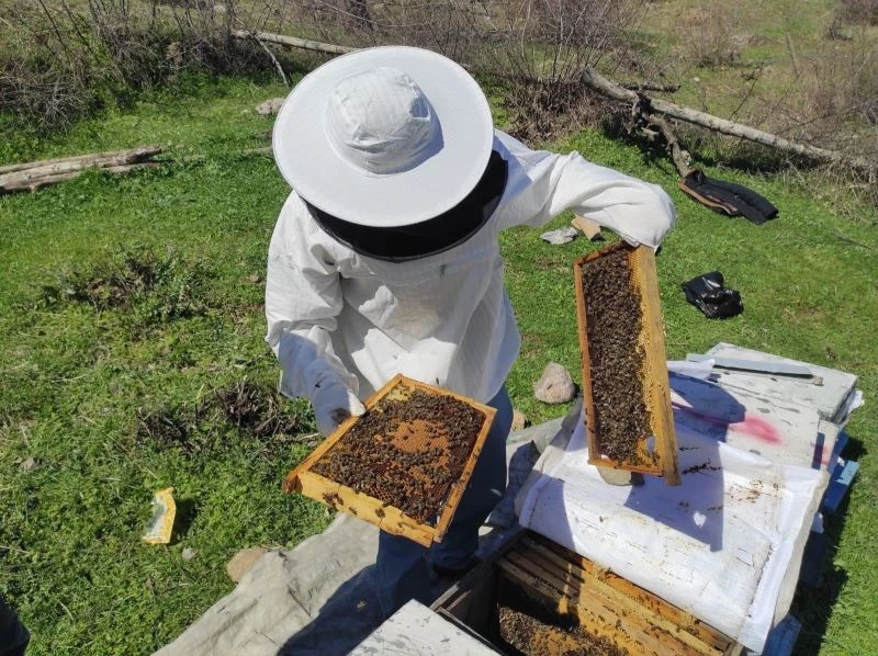 Batman’da çiçeklerin açmasıyla arıcıların zorlu mesaisi başladı
