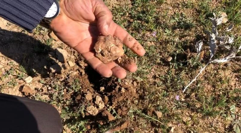 Şanlıurfa’nın vazgeçilmez lezzeti keme Kebabı
