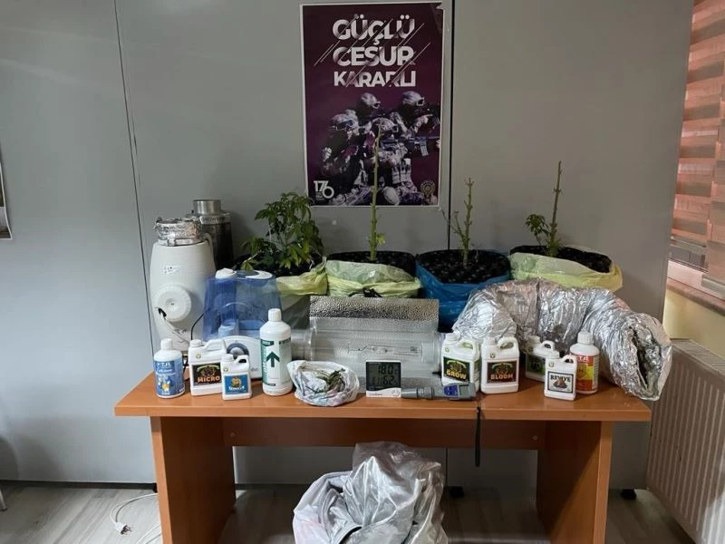 (Özel) Sarıyer’de “saksıda hint keneviri” operasyonu
