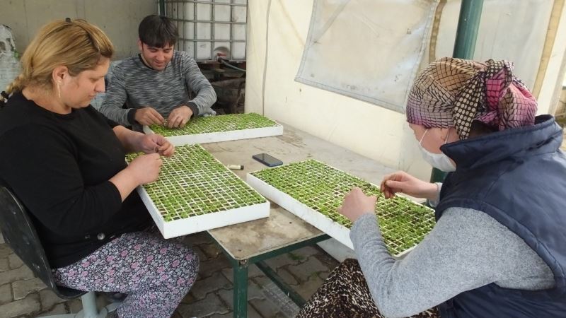 Balıkesir’de sokağa çıkma sınırlaması üretime engel değil
