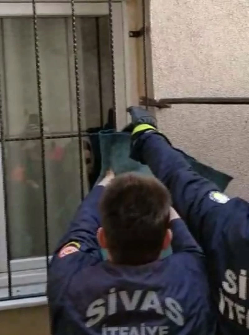 Pencere korkuluğunda asılı kalan kediyi itfaiye kurtardı
