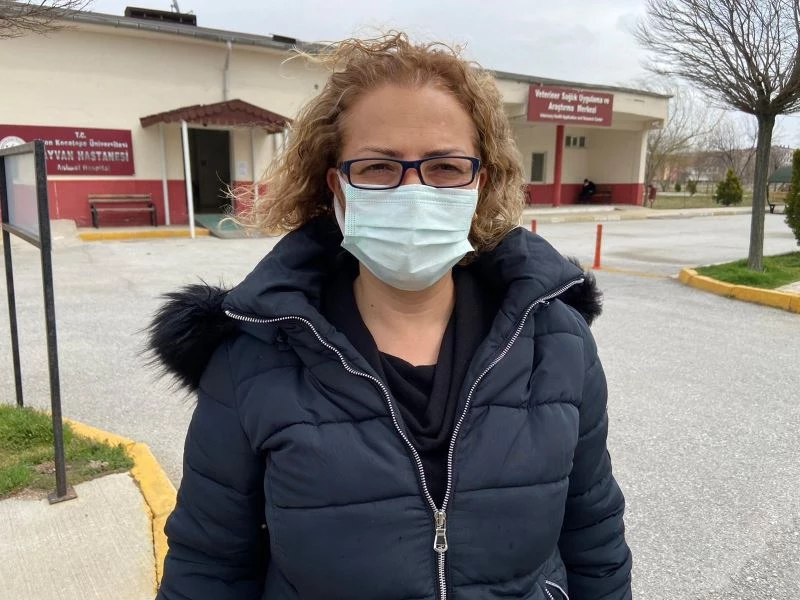 Nesli tükenme tehlikesiyle karşı karşıya olan 7 akbaba zehirlenerek öldürüldü
