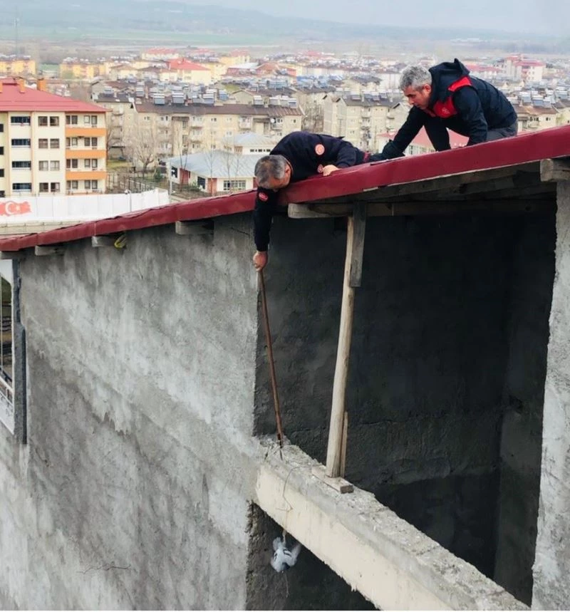 Bingöl’de ipe takılan güvercin kurtarıldı
