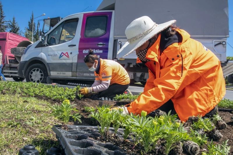 Mersin’in dört bir yanı çiçeklerle donatılıyor
